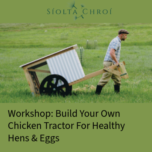 Workshop: Build Your Own Chicken Tractor For Healthy Hens & Eggs