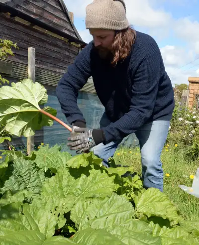 dsc_5470-allotment.webp
