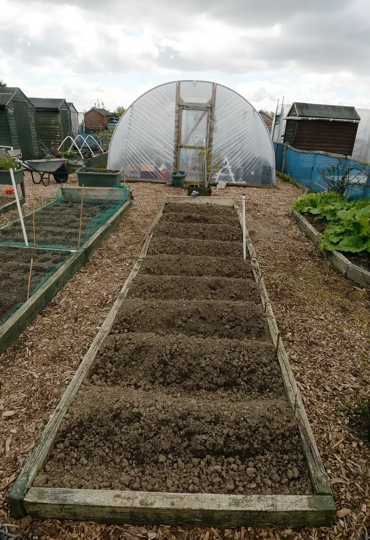 Allotments Ireland, Gardening Ireland