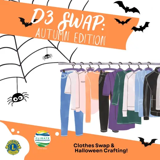 d3-swap--square-poster.jpg